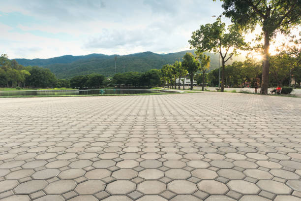 Best Permeable Paver Driveway  in Spring Park, MN