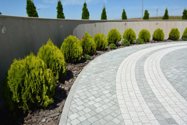 Best Driveway Repair Near Me  in Spring Park, MN
