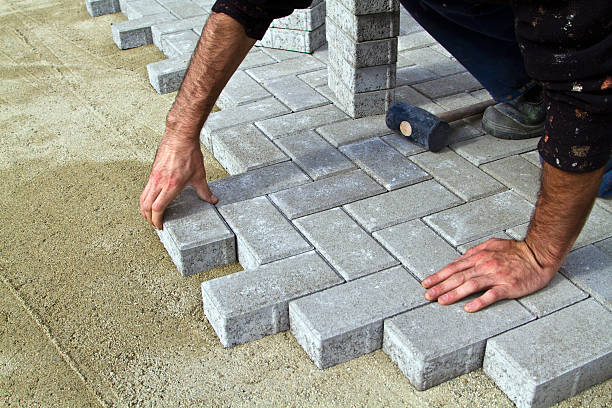 Best Decorative Driveway Pavers  in Spring Park, MN