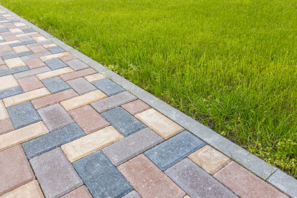 Best Decorative Driveway Pavers  in Spring Park, MN